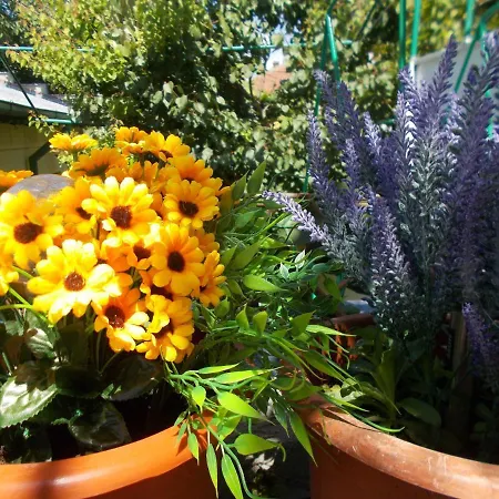 Casa Vlad コンスタンツァ