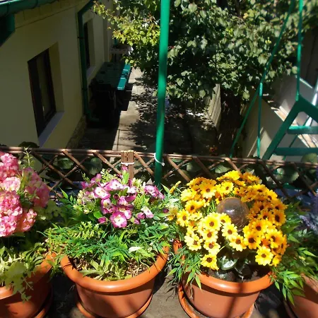 Casa Vlad * Constanta