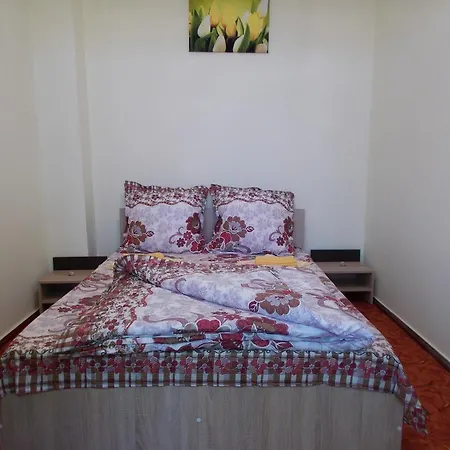 Casa Vlad Констанца